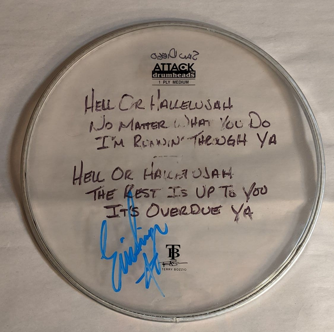 CHULA VISTA/SAN DIEGO 8-12-2012 ERIC SINGER Stage-Used Signed drumheads