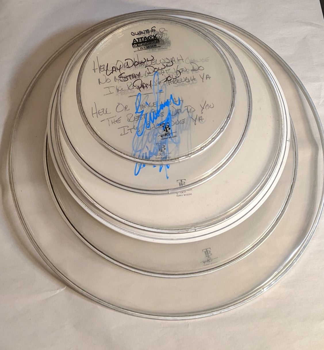 PORTLAND 8-19-2012 ERIC SINGER Stage-Used Signed drumheads